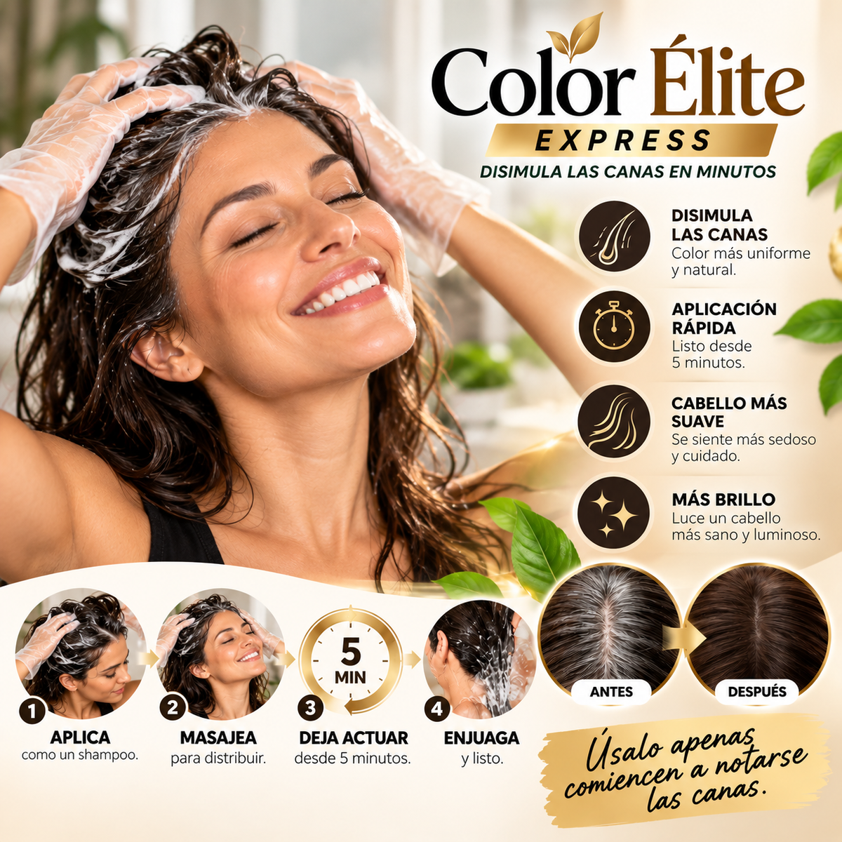 Color Élite Express – Shampoo que disimula las canas en minutos
